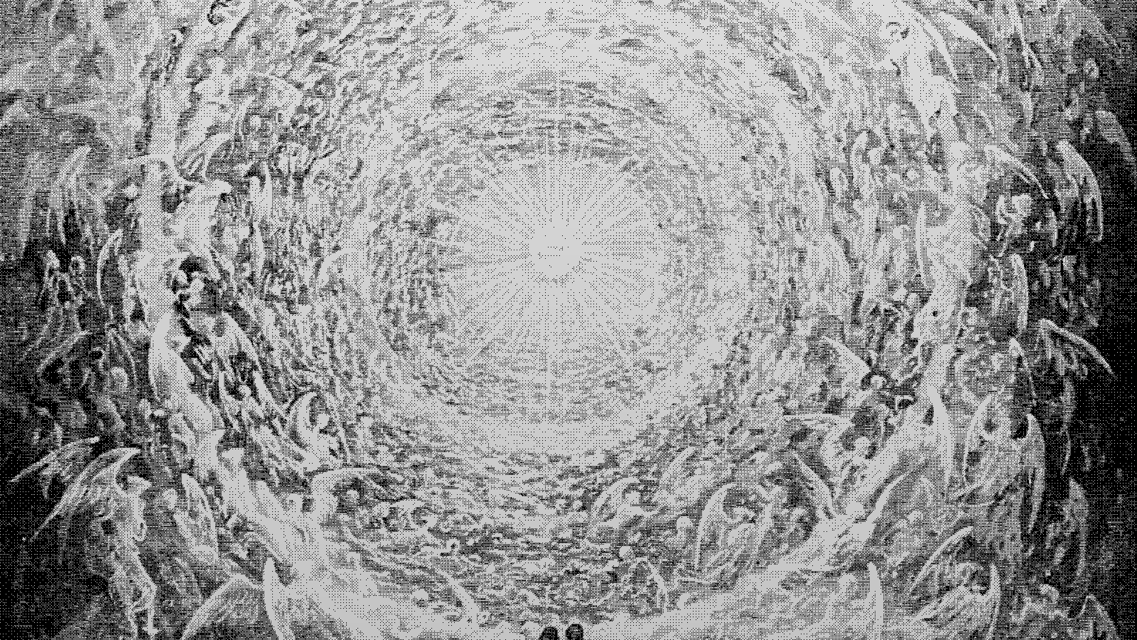 Etching illustration for: Three Routes / The End of the Unified Narrative